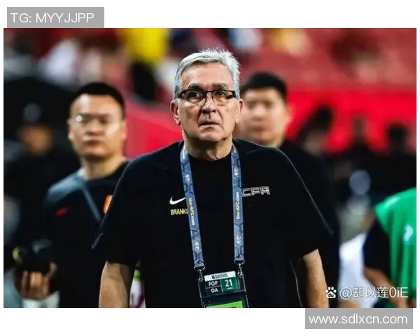 沈阳足球风云人物盘点 走近沈阳足球明星的成长与荣耀